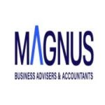 Magnus Accountants And Business